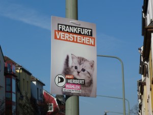 Piraten - ja, die Katze versteht Frankfurt wahrscheinlich wirklich. Aber Herbert?