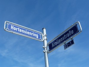 Hortensienring / Aralienstraße Frankfurt am Main Unterliederbach Parkstadt, Blumenwiese