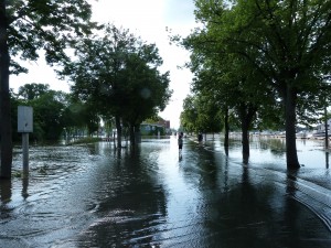 Die Rheinstraße im hessischen Gernsheim während des Hochwassers am 5. Juni 2013