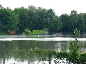 Fußballplatz in Gernsheim am Rhein während des Hochwassers am 5. Juni 2013