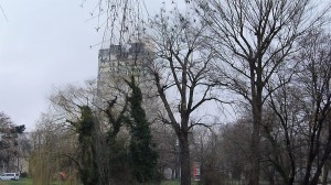 Der AfE-Turm in Frankfurt am Main während der Sprengung (5)