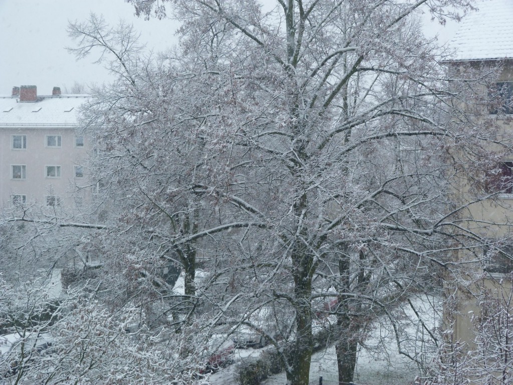 Schnee nach den Weihnachtsfeiertagen in der Unterliederbacher Sieringstraße (Foto: Jürgen Lange)