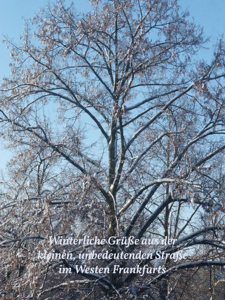 Winterliche Grüße aus Frankfurt am Main Unterliederbach