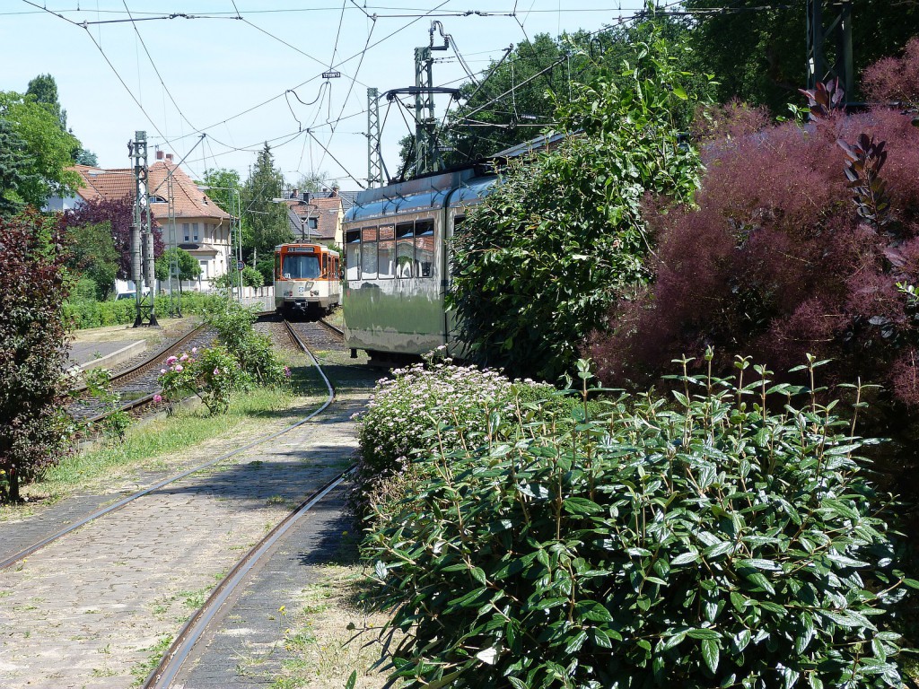 P- und N-Wagen der Historischen Straßenbahn Frankfurt