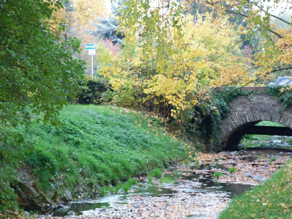 Liederbach kurz vor der Brückr am Geißspitweg, Frankfurt am Main Unterliederbach