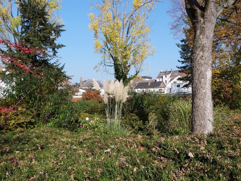 Frankfurt am Main Unterliederbach, Johannesallee Blickrichtung Königsteiner Straße / Pfälzer Straße