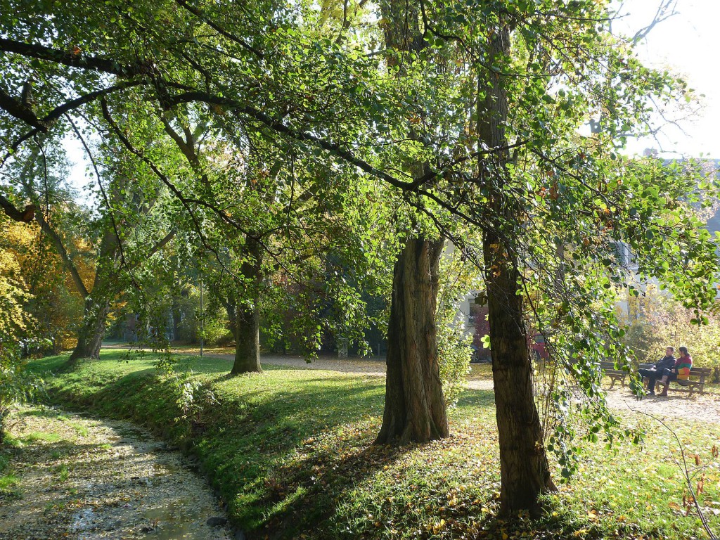 Liederbach und Philosophenweg in Frankfurt am Main Unterliederbach