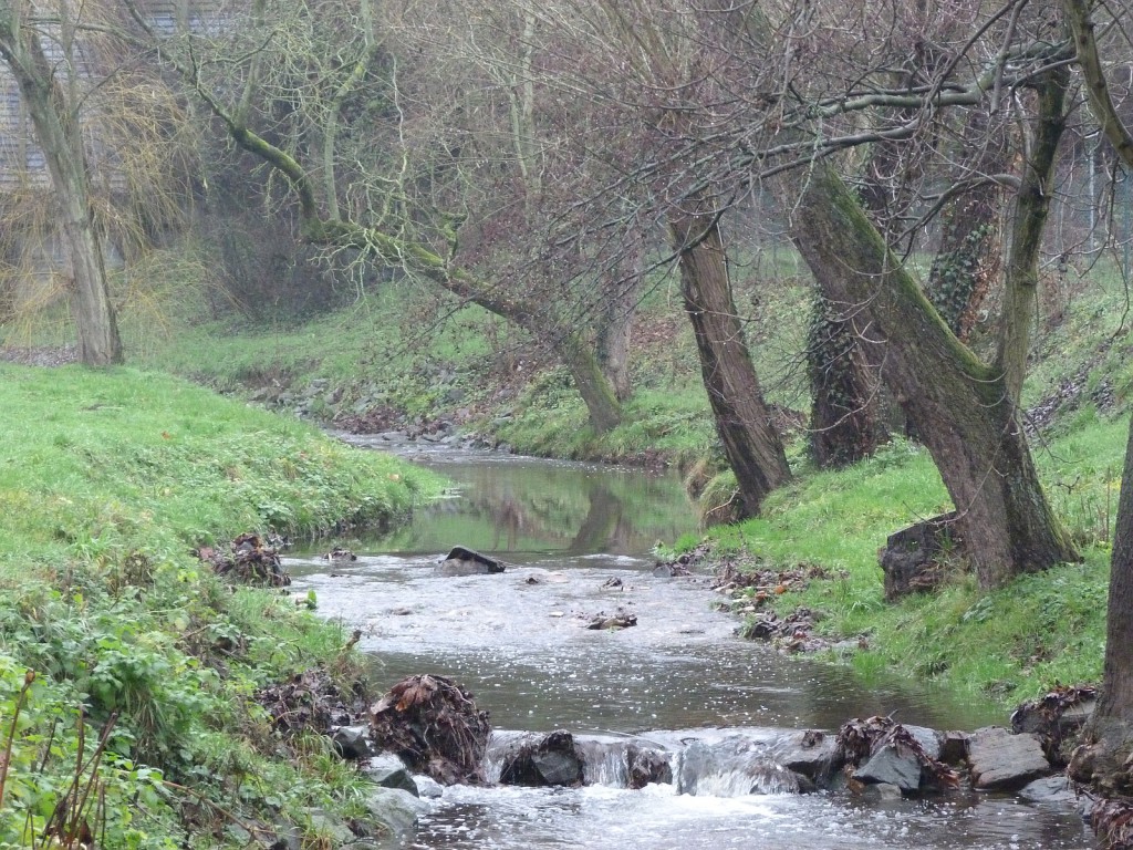 Der Liederbach in Frankfurt am Main Unterliederbach