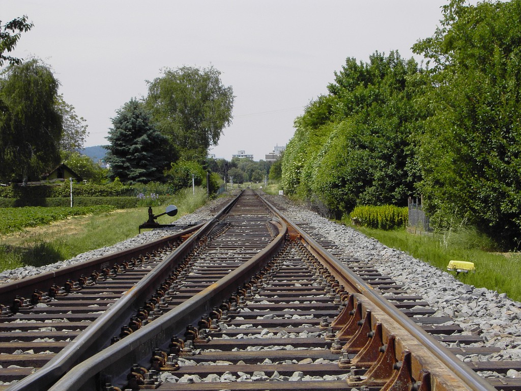 Gleise der Bahnlinie Frankfurt-Höchst / Königstein