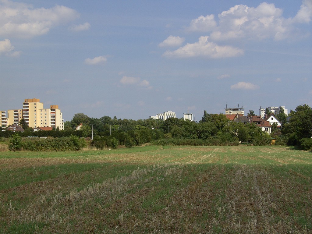 Blick von der Bahnstrecke nach Königstein in Richtung Osten (2010)