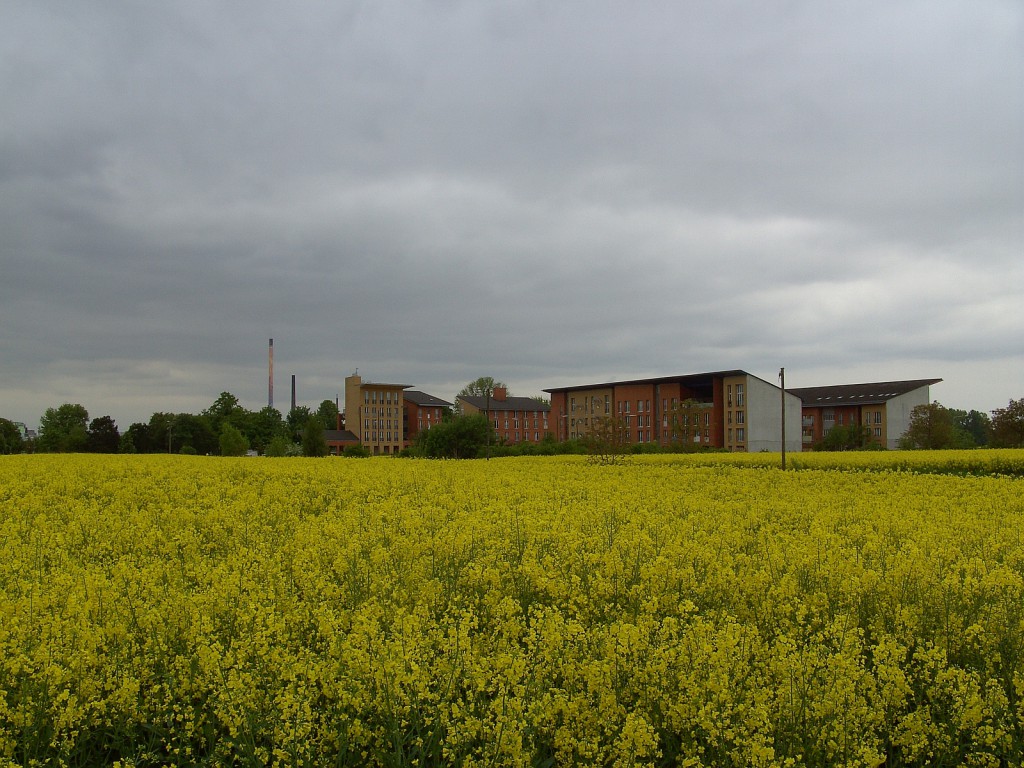 Parkstadt Frankfurt am Main Unterliederbach im Jahr 2010