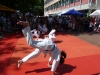 buergerfest_ulb_20110529_061
