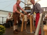 Erstes_Unterliederbacher_Oktoberfest_2014_053