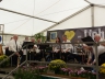 Erstes_Unterliederbacher_Oktoberfest_2014_Tag_2_007