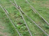 ftdvg_20130908_061