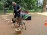 Bürgerfest_20190616-067