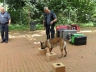 Bürgerfest_20190616-068