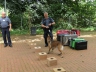 Bürgerfest_20190616-069