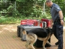 Bürgerfest_20190616-075