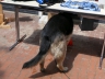 Bürgerfest_20190616-129