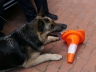 Bürgerfest_20190616-137