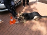 Bürgerfest_20190616-139