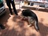 Bürgerfest_20190616-140