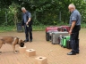 Bürgerfest_20190616-163