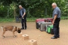 Bürgerfest_20190616-163