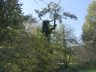 Astronomen-20241103_016-scaled-e1730894553729