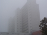 Klinikum Frankfurt Höchst im Nebel