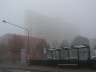Klinikum Frankfurt Höchst im Nebel