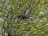 Ostern_20200406-03