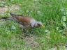 Ostern_20200406-100