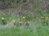 Ostern_20200406-13