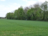 Ostern_20200406-16