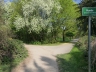 Ostern_20200406-33