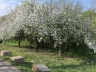 Ostern_20200406-55