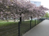 Ostern_20200406-86