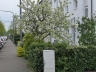 Ostern_20200406-87