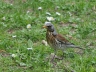 Ostern_20200406-98