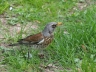 Ostern_20200406-99
