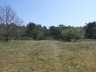 Düne_20200406-02