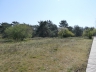Düne_20200406-03