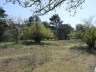 Düne_20200406-04