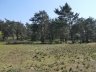 Düne_20200406-05