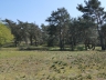 Düne_20200406-06