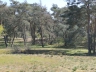 Düne_20200406-07