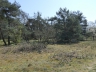 Düne_20200406-08