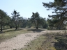 Düne_20200406-21